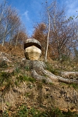 20_ma che bel fungo!!